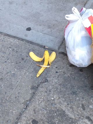 Photo: bananasofnewyork.com